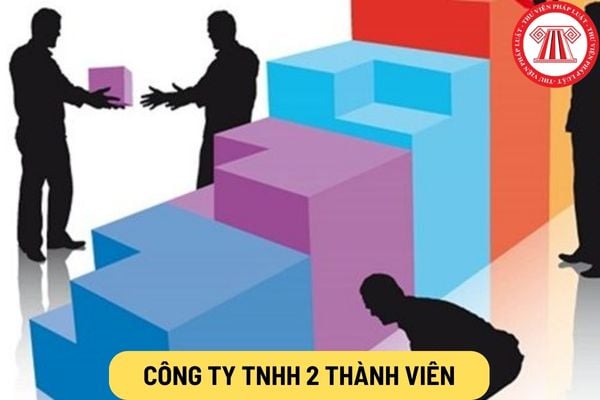 Công ty TNHH 2 thành viên