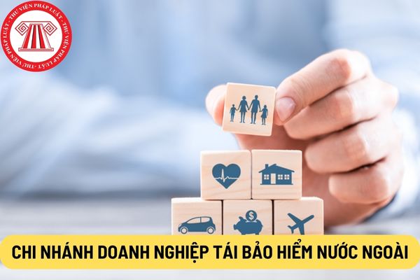 Chi nhánh doanh nghiệp tái bảo hiểm nước ngoài