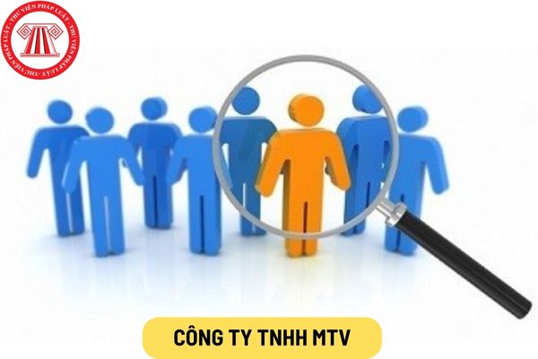 Công ty TNHH MTV