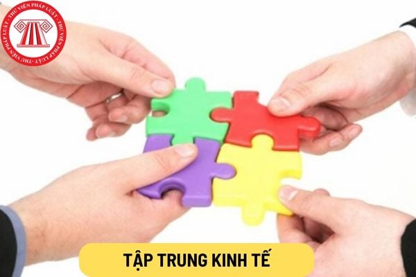 Tập trung kinh tế