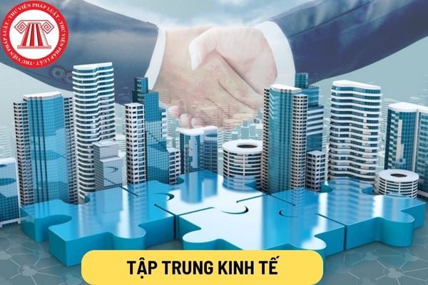 Tập trung kinh tế