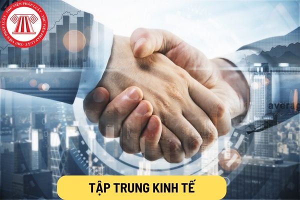 Tập trung kinh tế