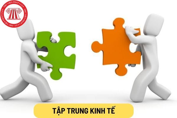 Tập trung kinh tế