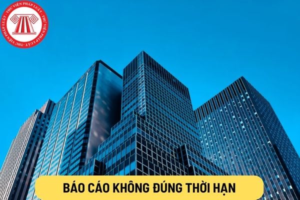 Báo cáo không đúng thời hạn