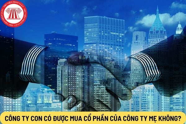 Công ty con có được mua cổ phần của công ty mẹ không?