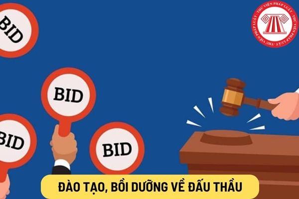 Đào tạo, bồi dưỡng về đấu thầu