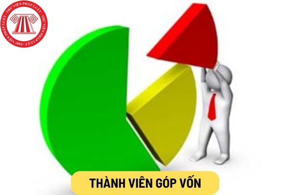 Thành viên góp vốn