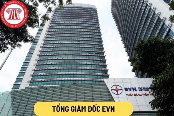 Tổng giám đốc EVN