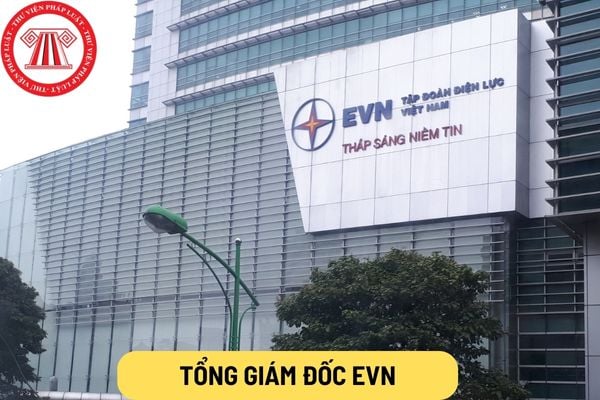 Tổng giám đốc EVN