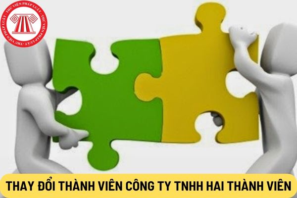  Thay đổi thành viên công ty TNHH hai thành viên