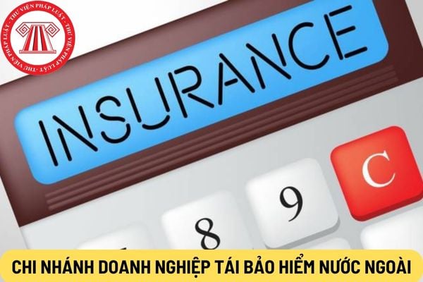 Chi nhánh doanh nghiệp tái bảo hiểm nước ngoài