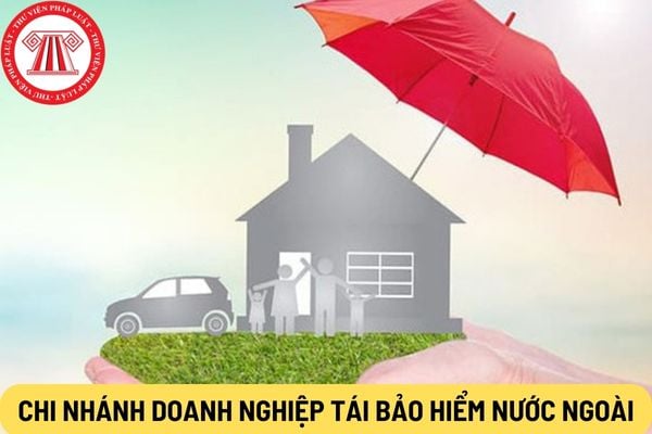 Chi nhánh doanh nghiệp tái bảo hiểm nước ngoài