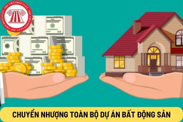 Chuyển nhượng toàn bộ dự án bất động sản