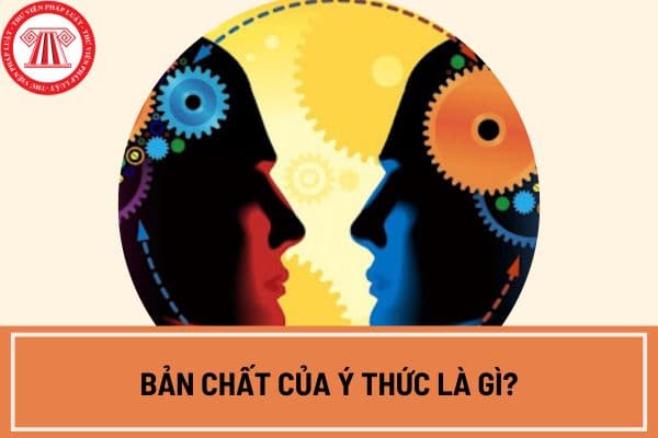 Bản chất của ý thức là gì? Ví dụ về bản chất của ý thức? Mối quan hệ giữa vật chất và ý thức?