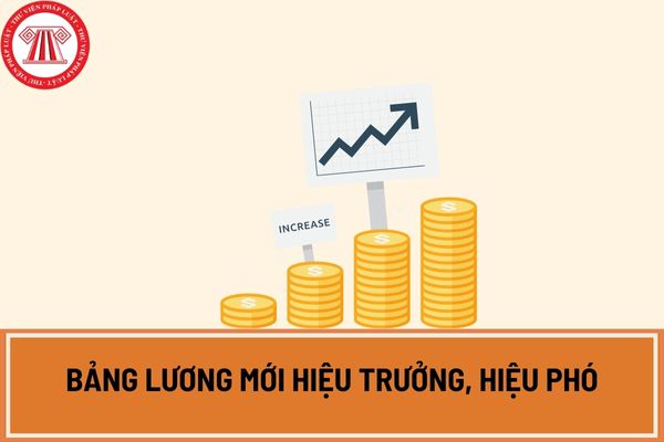 Bảng lương mới hiệu trưởng, hiệu phó các trường mầm non, phổ thông từ ngày 01/07/2024 được xếp vào bảng lương chuyên môn hay bảng lương chức vụ?