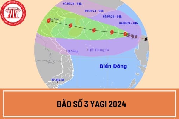 4 tại chỗ bão số 3 2024 (bão Yagi) là gì? Chỉ đạo mới nhất về Bão số 3 của Thủ tướng Chính phủ ra sao?