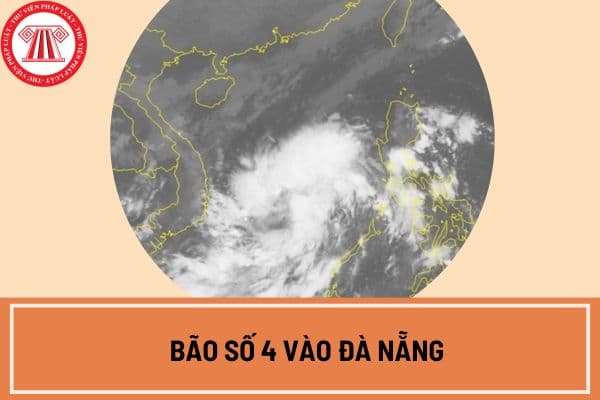 Bão số 4 vào Đà Nẵng khi nào? Dự báo tác động của bão số 4 khu vực miền Trung như thế nào?