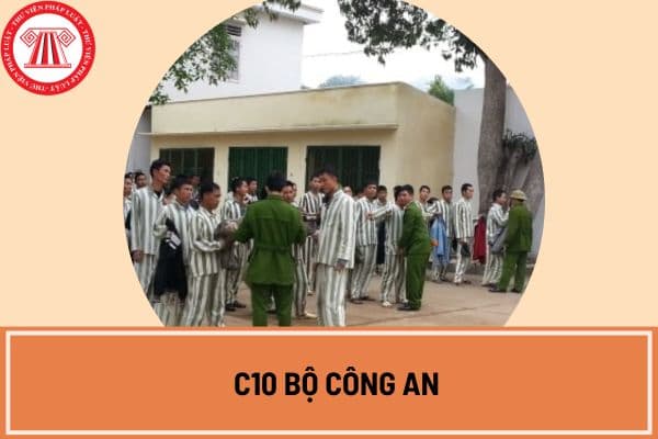 C10 Bộ Công an là cục gì?