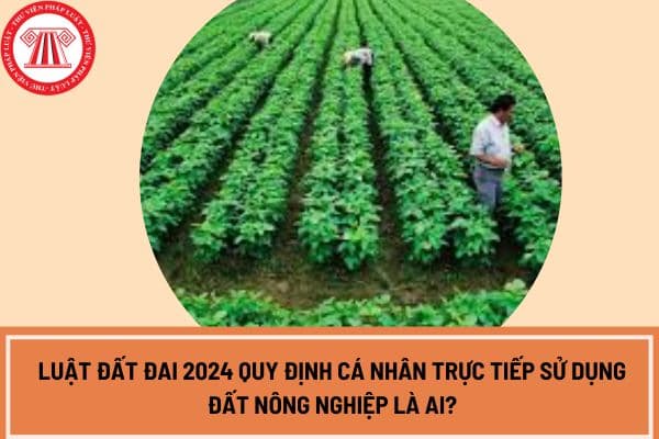 Luật Đất đai 2024 quy định cá nhân trực tiếp sử dụng đất nông nghiệp là ai?