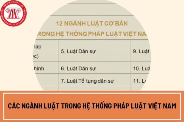 Hệ thống pháp luật Việt Nam có bao nhiều ngành luật?