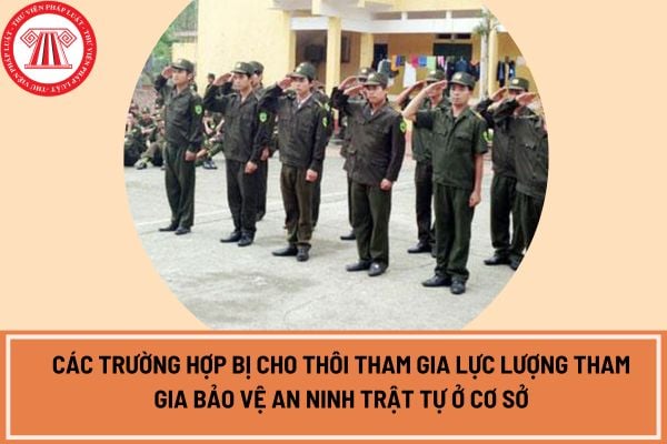 Các trường hợp bị cho thôi tham gia Lực lượng tham gia bảo vệ an ninh trật tự ở cơ sở từ ngày 01/07/2024?