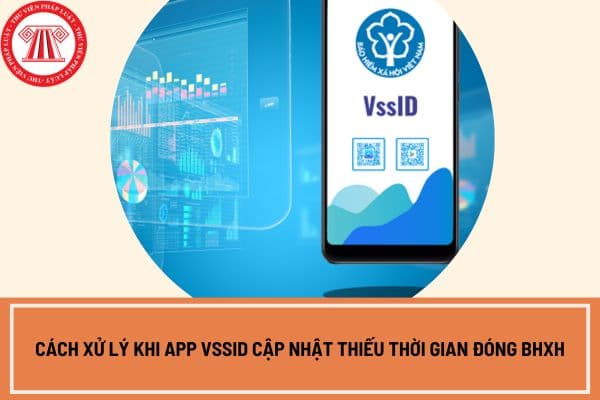 Cách xử lý khi app VssID cập nhật thiếu thời gian đóng BHXH mới nhất