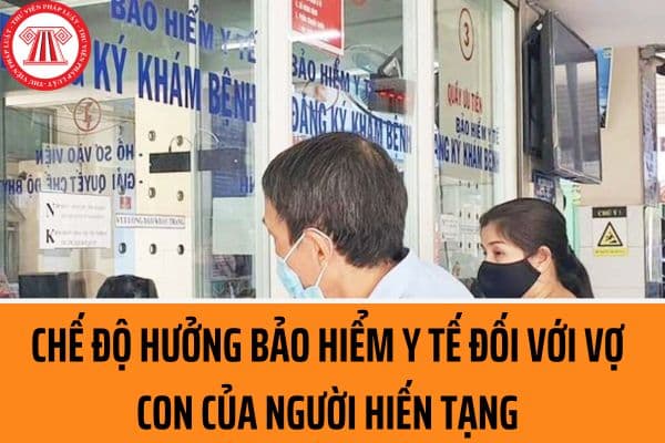 Vợ con của người hiến tạng có được hưởng bảo hiểm y tế miễn phí không? Chế độ hưởng khám sức khỏe định kỳ đối với người hiến tạng ra sao?