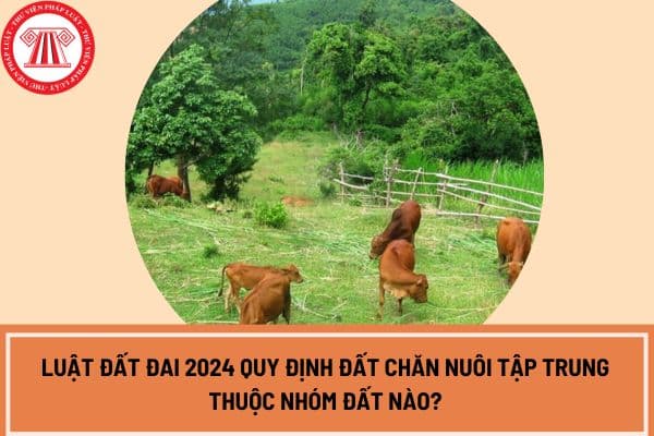 Luật Đất đai 2024 quy định đất chăn nuôi tập trung thuộc nhóm đất nào?