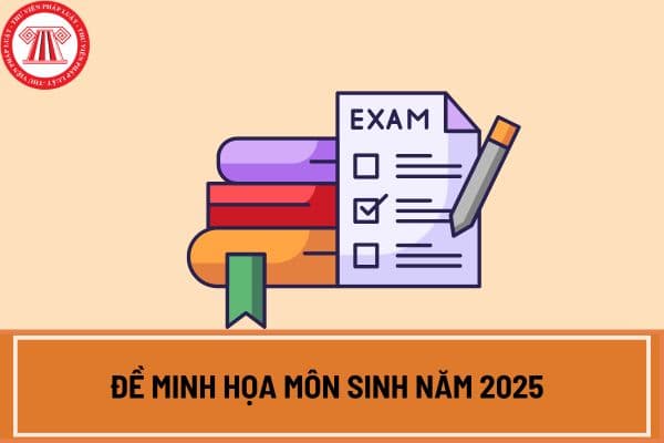 Đề minh họa môn Sinh năm 2025 có đáp án? Xem chi tiết đề minh họa môn Sinh THPT năm 2025 có đáp án ở đâu?