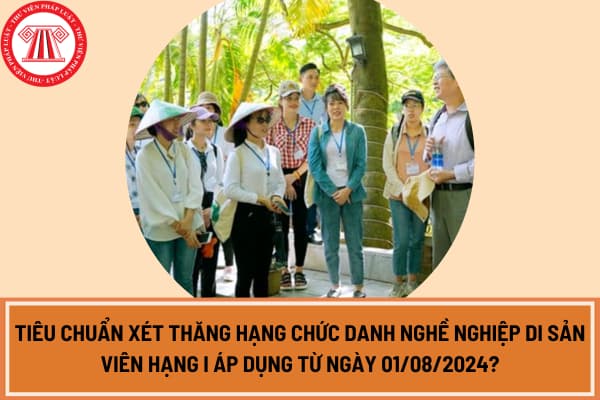 Tiêu chuẩn xét thăng hạng chức danh nghề nghiệp di sản viên hạng I áp dụng từ ngày 01/08/2024?