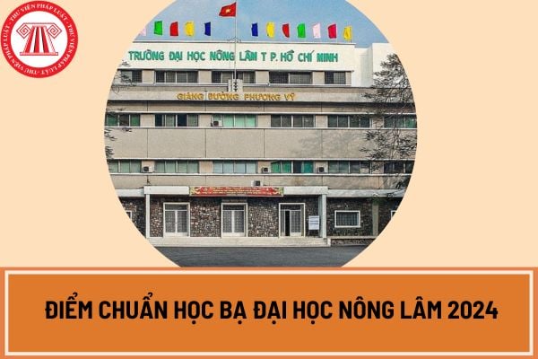 Công bố điểm chuẩn học bạ Đại học Nông Lâm 2024?