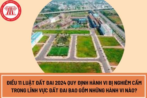 Điều 11 Luật Đất đai 2024 quy định hành vi bị nghiêm cấm trong lĩnh vực đất đai bao gồm những hành vi nào?