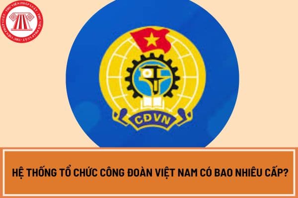 Hệ thống tổ chức công đoàn Việt Nam có bao nhiêu cấp? 