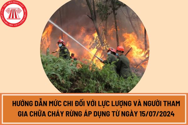 Hướng dẫn mức chi đối với lực lượng và người tham gia chữa cháy rừng áp dụng từ ngày 15/07/2024? 