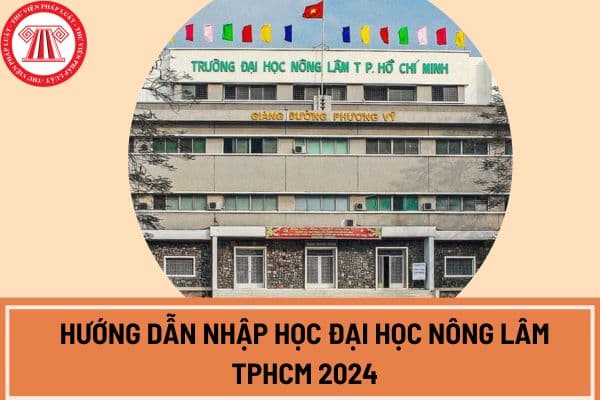 Hướng dẫn nhập học Đại học Nông Lâm TPHCM 2024