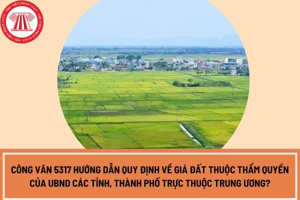 Công văn 5317 hướng dẫn quy định về giá đất thuộc thẩm quyền của UBND các tỉnh, thành phố trực thuộc Trung ương?