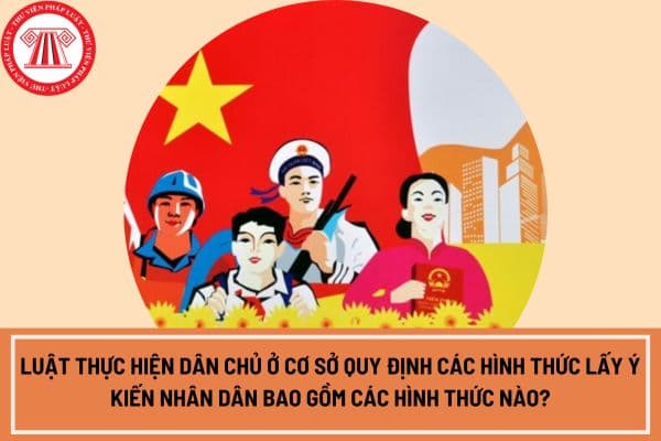 Luật Thực hiện dân chủ ở cơ sở quy định các hình thức lấy ý kiến Nhân dân bao gồm các hình thức nào?