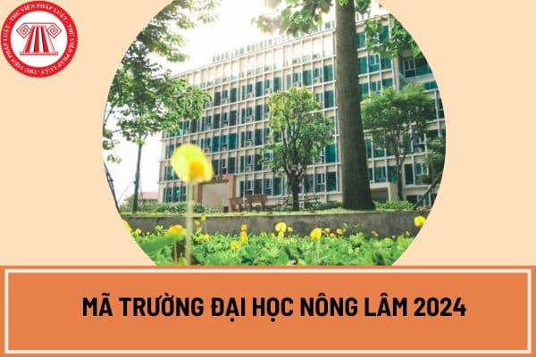 Mã Trường Đại học Nông Lâm 2024 là gì?