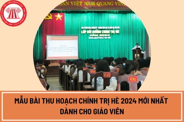 Mẫu bài thu hoạch chính trị hè 2024 mới nhất dành cho giáo viên?