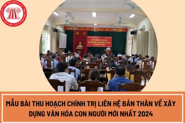 Mẫu bài thu hoạch chính trị liên hệ bản thân về xây dựng văn hóa con người mới nhất 2024?