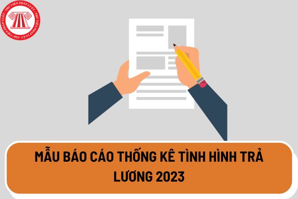 Mẫu báo cáo thống kê tình hình trả lương 2023 theo hướng dẫn tại Công văn 121/LĐLĐ Hà Nội? 
