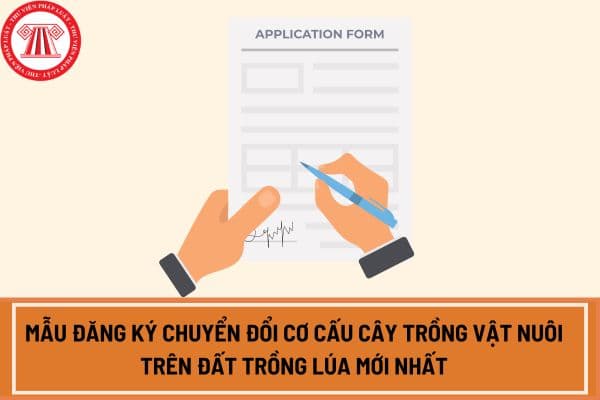 Mẫu đăng ký chuyển đổi cơ cấu cây trồng vật nuôi trên đất trồng lúa mới nhất? Tải mẫu đăng ký ở đâu?