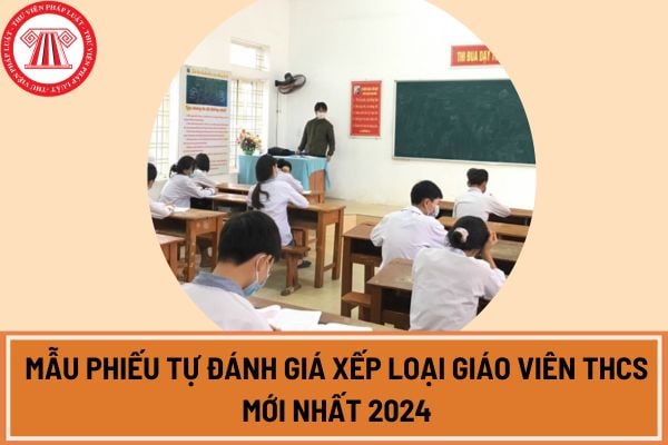 Mẫu phiếu tự đánh giá xếp loại giáo viên THCS mới nhất 2024 theo Công văn 4530