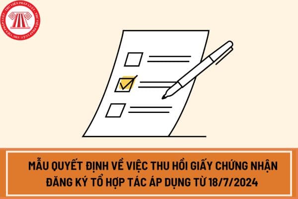 Mẫu Quyết định về việc thu hồi Giấy chứng nhận đăng ký tổ hợp tác áp dụng từ 18/7/2024 theo Nghị định 92/2024/NĐ-CP?