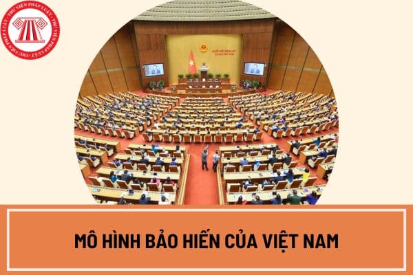 Mô hình bảo hiến của Việt Nam là gì? Chức năng bảo hiến của Tòa án nhân dân được quy định như thế nào?