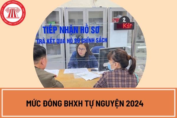 Mức đóng BHXH tự nguyện 2024? Mức đóng BHXH tự nguyện tối đa từ 1 7 1024 có thay đổi không?