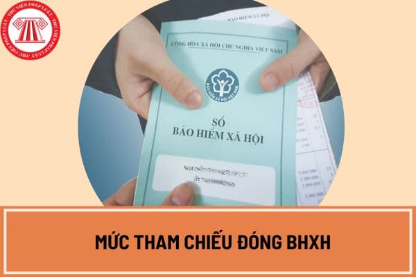 Mức tham chiếu đóng BHXH theo Luật BHXH 2024 là gì? 