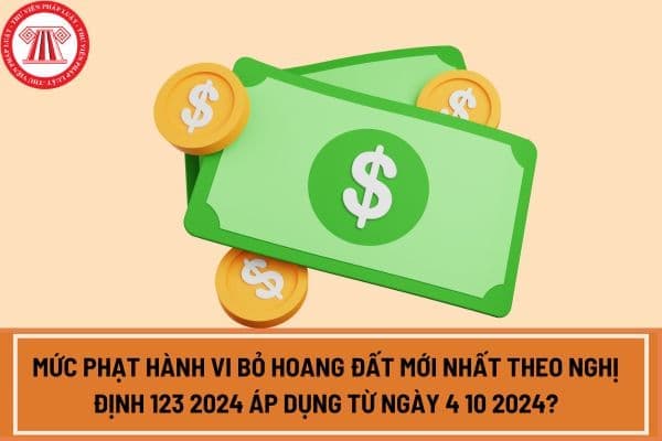 Mức phạt hành vi bỏ hoang đất mới nhất theo Nghị định 123 2024 áp dụng từ ngày 4 10 2024?