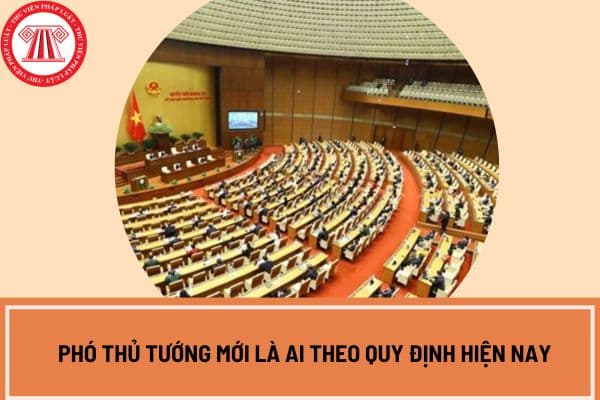 Phó thủ tướng mới là ai