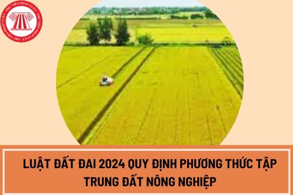 Điều 192 Luật Đất đai 2024 quy định phương thức tập trung đất nông nghiệp là phương thức nào?